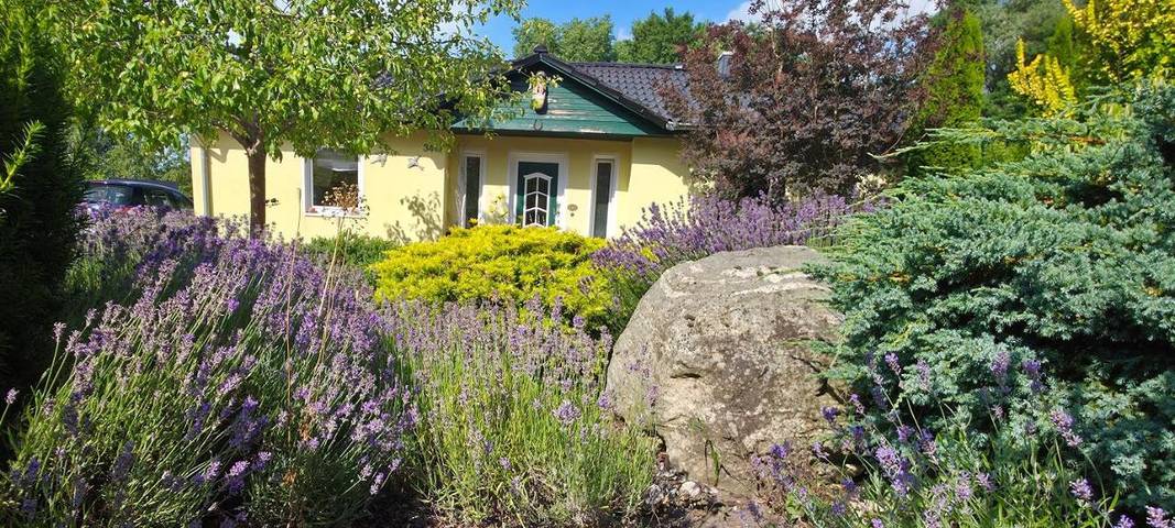 Ferienhaus für 5 Personen, mit Terrasse und Garten sowie Seeblick und Ausblick in Buchholz - 2