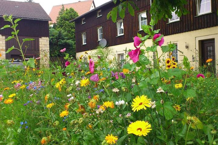 Bauernhof für 4 Personen, mit Garten