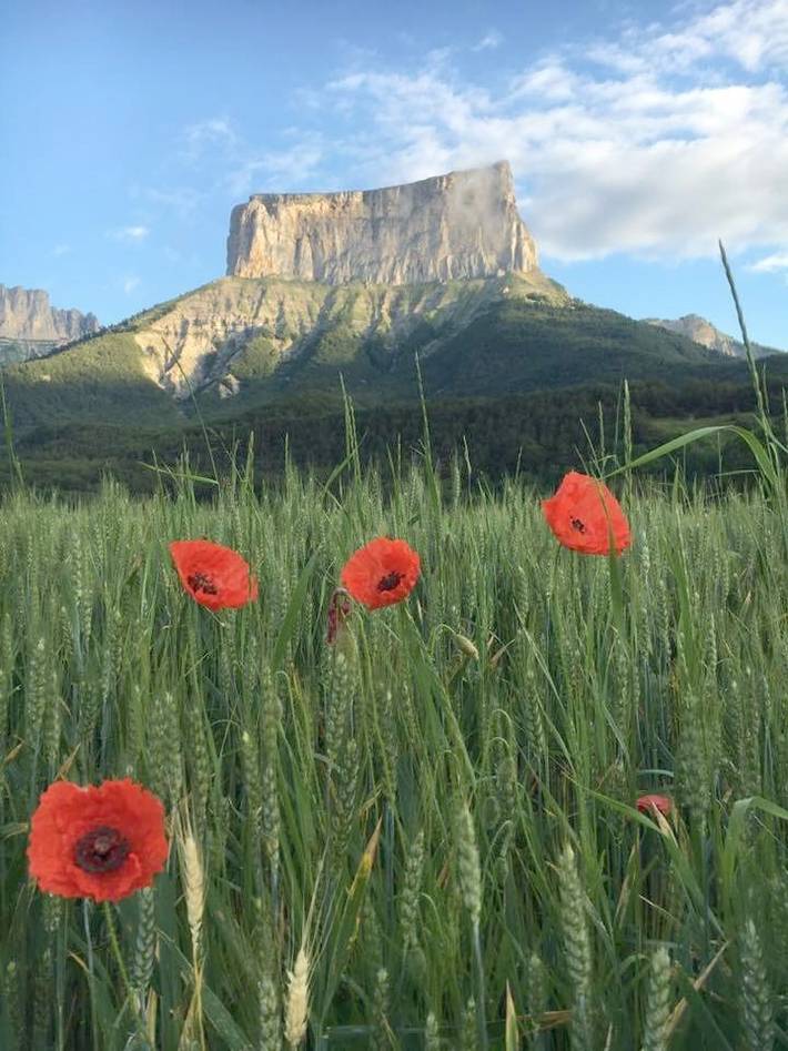 Hôtel pour 2 personnes, avec jacuzzi et sauna ainsi que jardin et terrasse, animaux acceptés