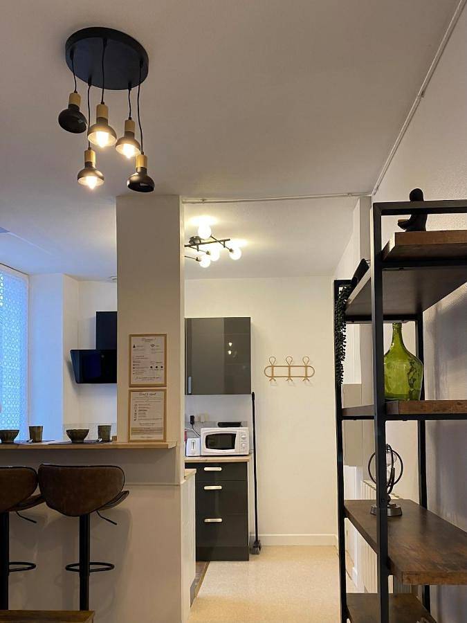 Appartement entier, Château, poteries, vins et randonnées in Saint-Amand-en-Puisaye, Nièvre