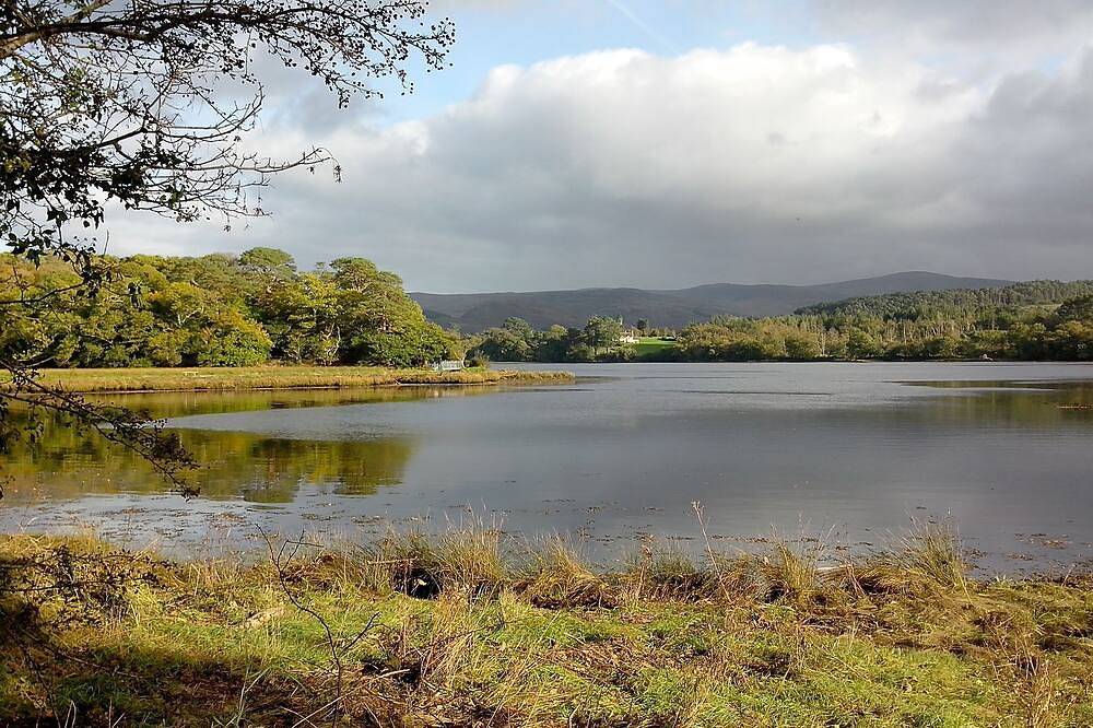 Casa vacanza a Kenmare a partire da 127€ a notte