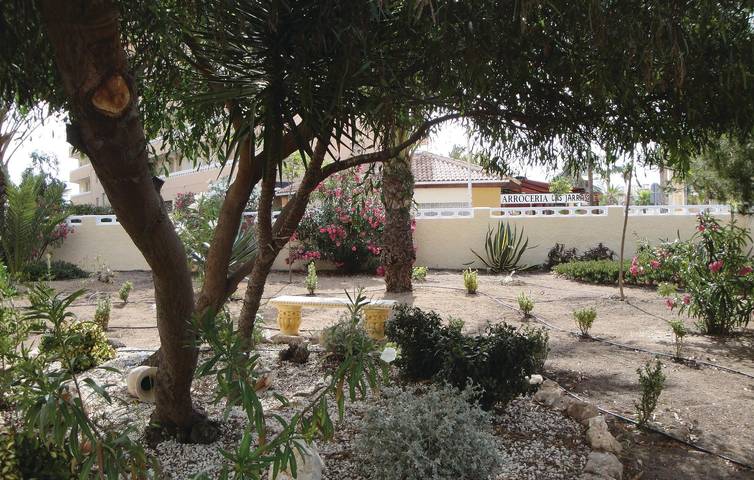 Ferienwohnung für 3 Personen, mit Terrasse in Torrevieja - 2