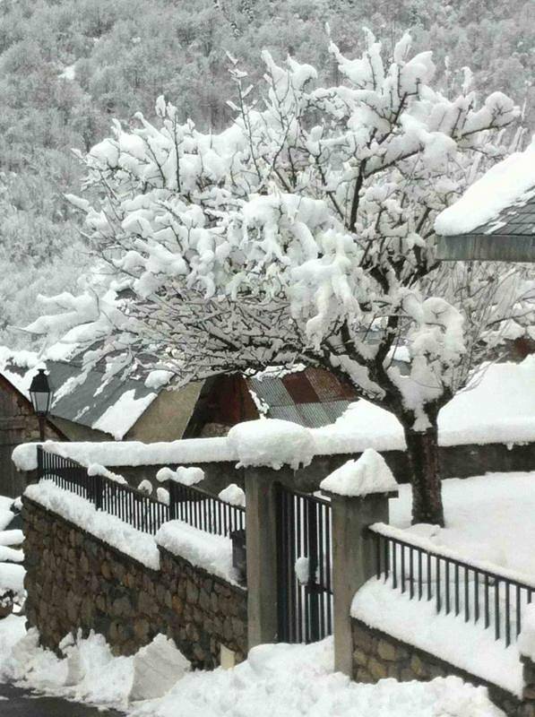 Gîte pour 9 personnes, avec jardin à Cazeaux-de-Larboust - 4