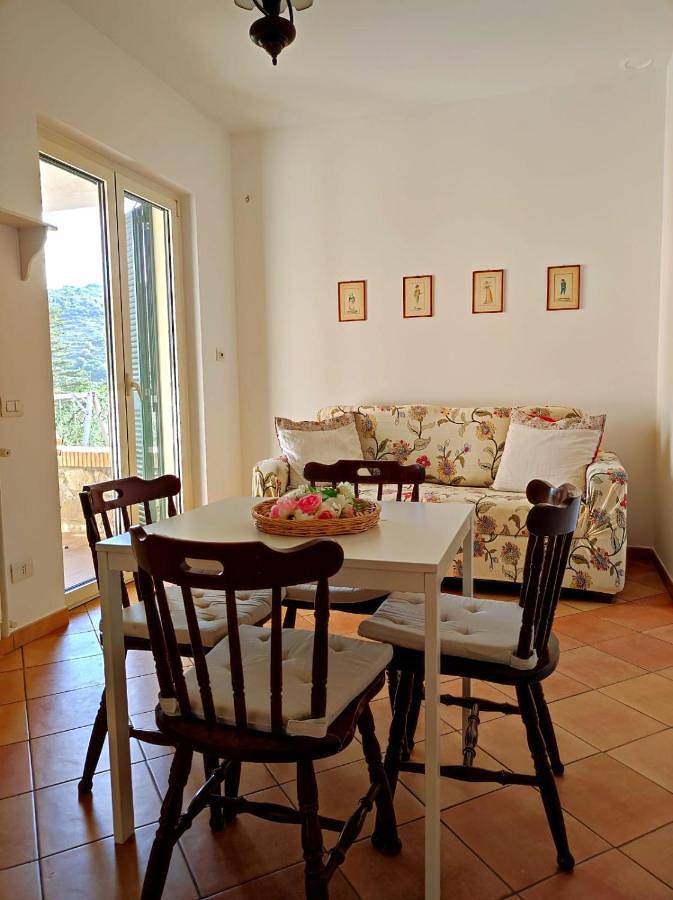 Appartamento vacanze per 4 persone, con giardino e panorama, con animali domestici - 1