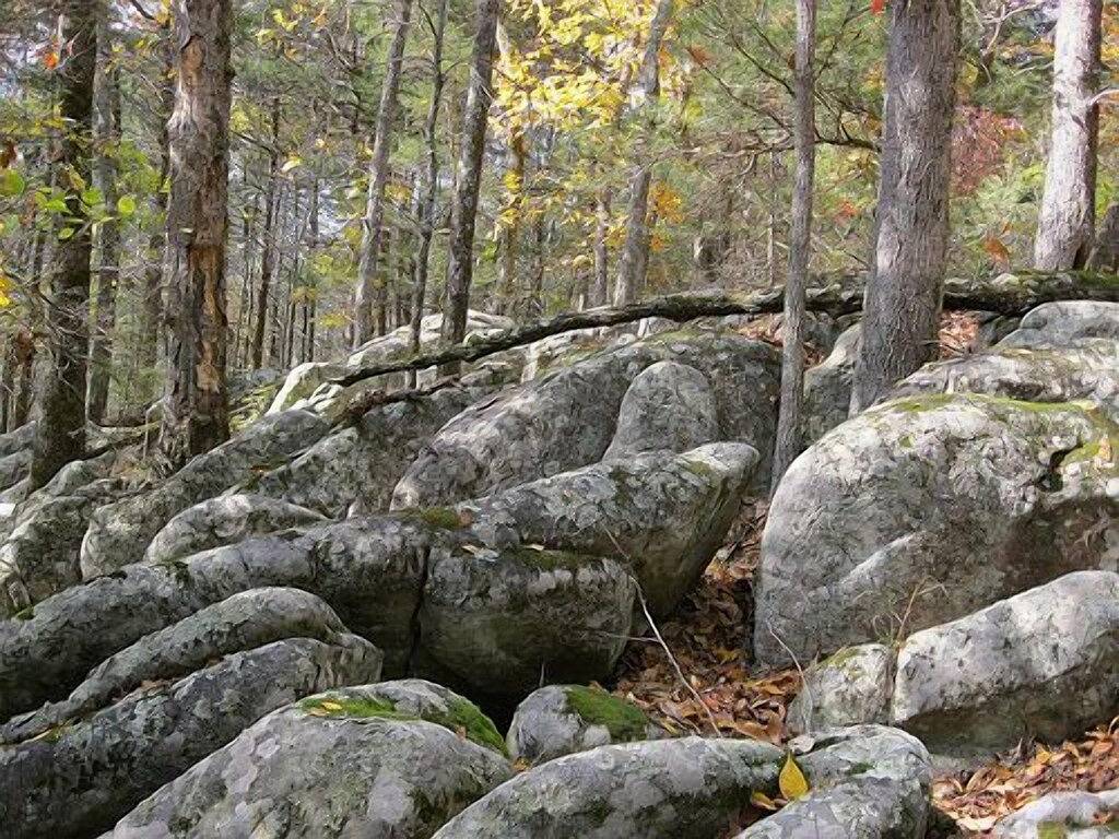 Cinnamon Valley - \"Der Bergsteiger\" in Eureka Springs, Carroll County (AR)