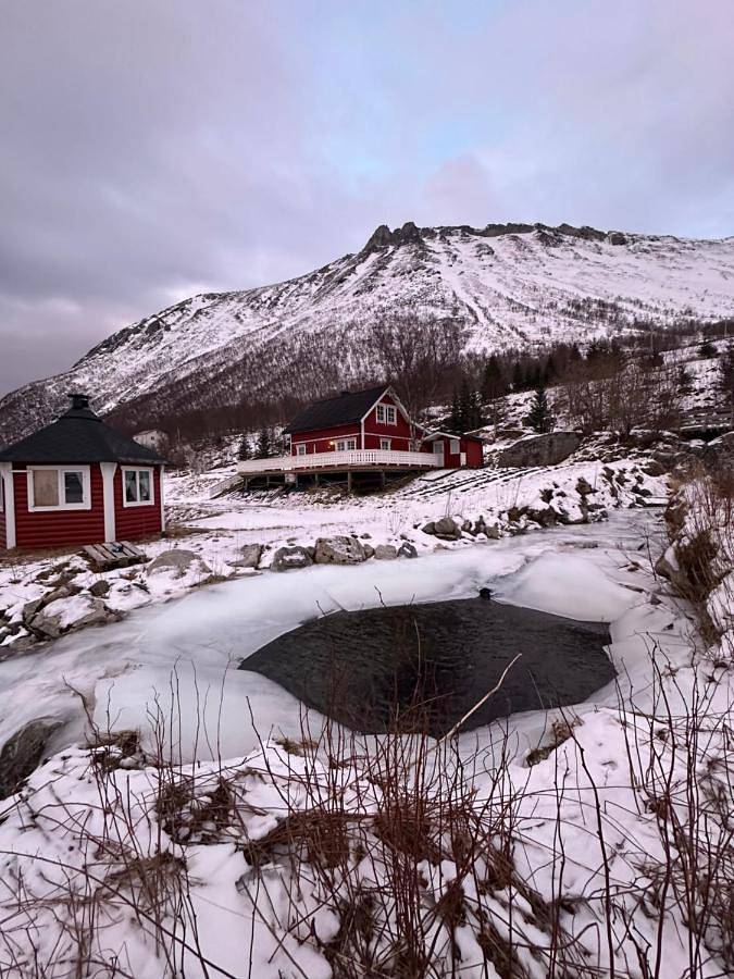 Ferienhaus für 10 Personen, mit Terrasse und Ausblick sowie Seeblick in Senja - 2