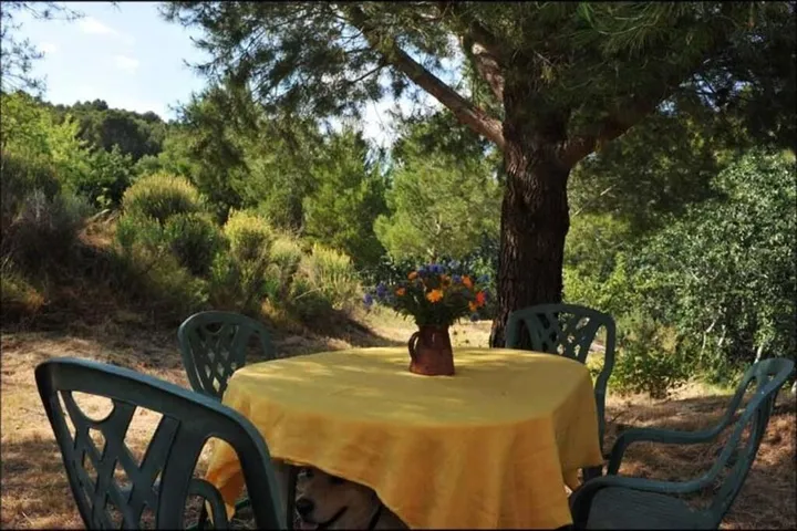 Ferienhaus für 8 Personen, mit Ausblick und Garten - 1