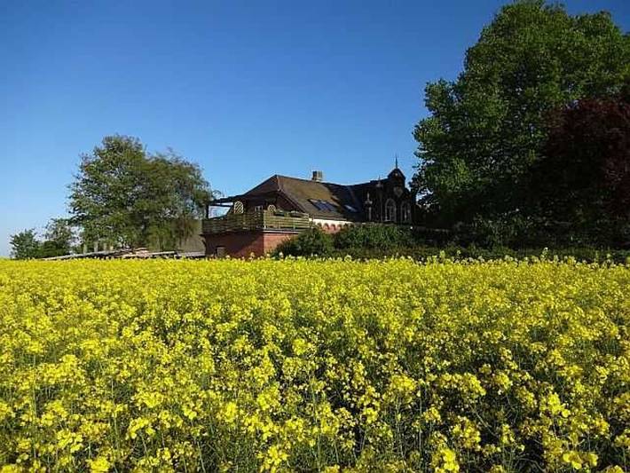 Bauernhof für 4 Personen, mit Ausblick und Garten sowie Terrasse, kinderfreundlich in Geltinger Bucht - 4