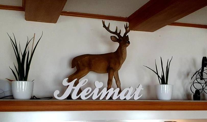 Hôtel pour 2 personnes, avec vue ainsi que terrasse et vue sur le lac, animaux acceptés dans Rigi Kaltbad - 4