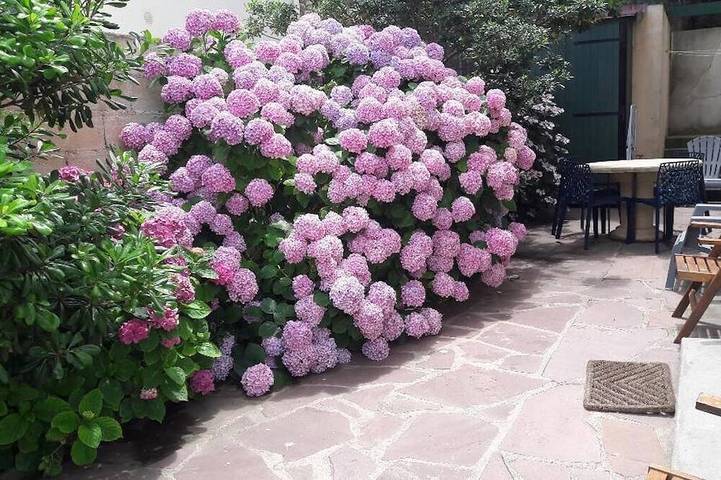 Appartamento vacanze per 5 persone, con terrazza e giardino - 1