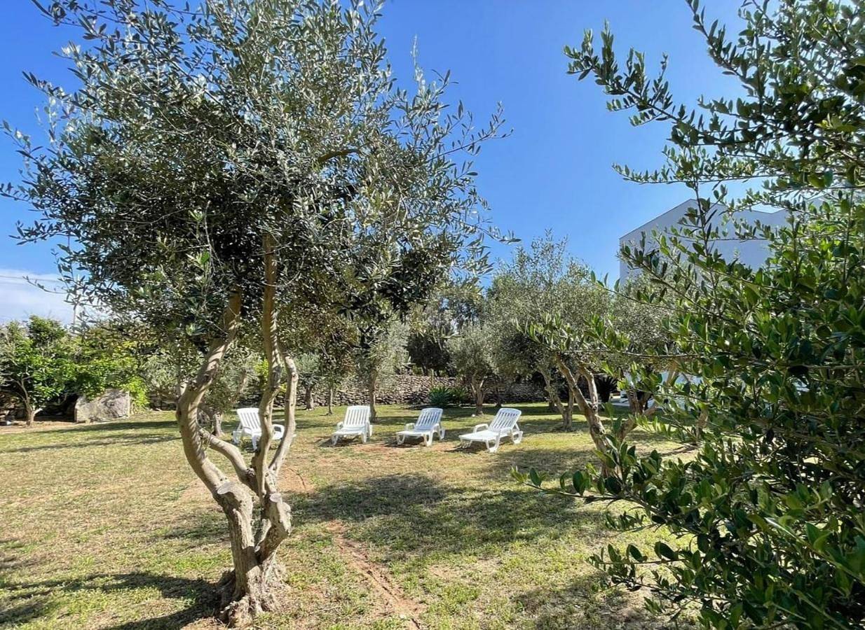 Calafato Guest House in Favignana, Île de Favignana