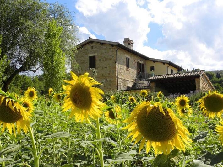 Gîte pour 5 personnes, avec vue et jardin, animaux acceptés à Bevagna
