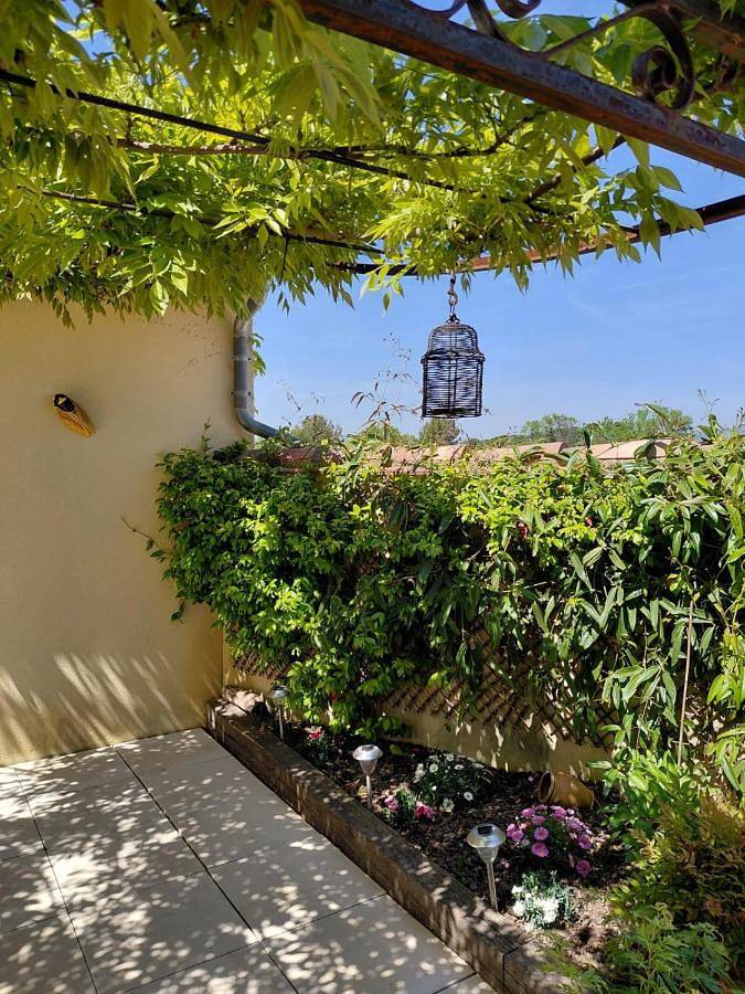 Chambre d’hôte pour 2 personnes, avec piscine ainsi que vue et jardin à Mazan - 4
