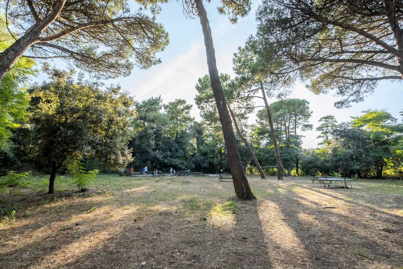 Mobil Home Diamond 4 estancias 6 personas in Rivedoux-Plage, Isla de Ré