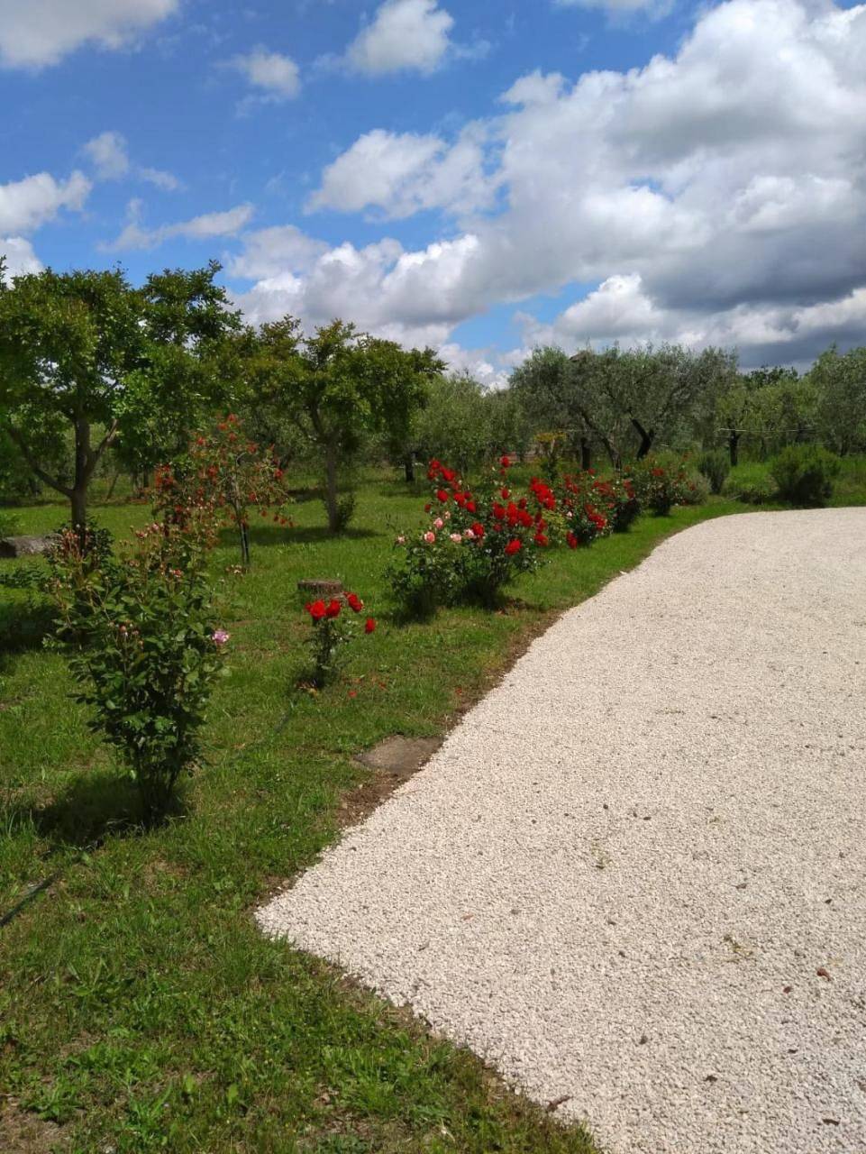 Casa Vacanze Le Rose in Ariccia, Provincia di Roma