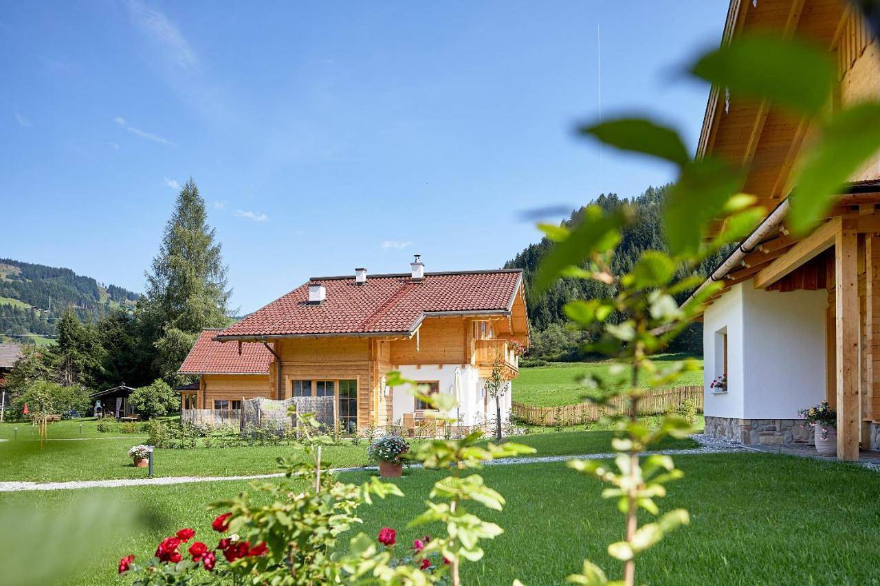 Chalet in Wagrain, Ski Amadé