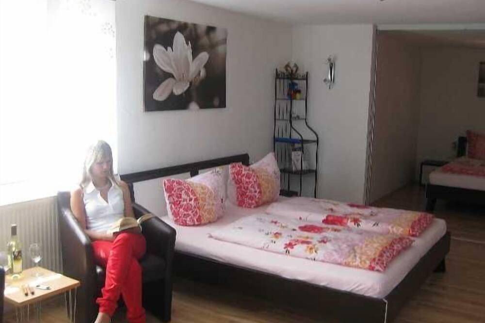 Geheel appartement, Gästehaus Schwien - Appartement 66 qm, voor max. 6 mensen. in Europa-Park, Rust