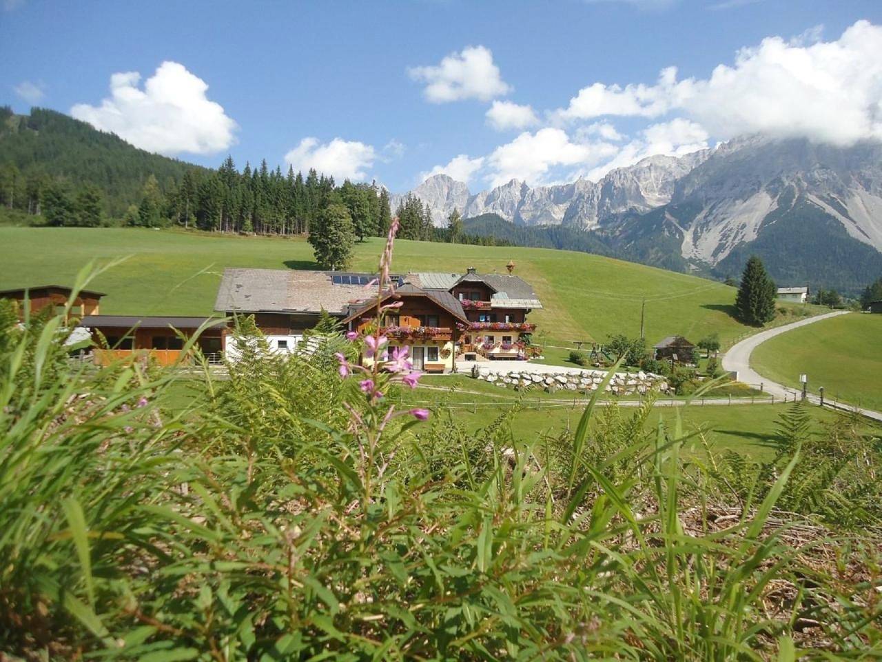 Pension-Greimelbacherhof in Ramsau am Dachstein, Schladming-Dachstein