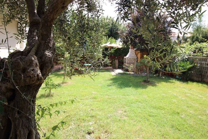 Gîte pour 4 personnes, avec jardin à Novigrad - 2