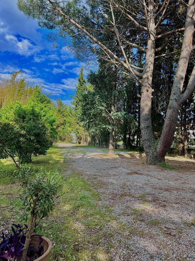 Gîte pour 2 personnes, avec terrasse ainsi que jardin et piscine à Thuir - 2