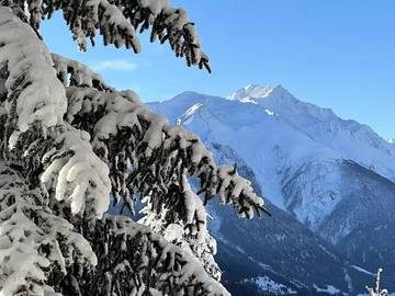 Chalet für 6 Personen in Bellwald, Goms, Bild 1