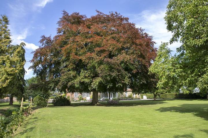 Ferienhaus für 14 Personen, mit Garten in Lensahn - 2