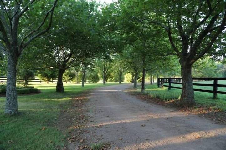 Agriturismo for 4 people, with garden in South Coast NSW