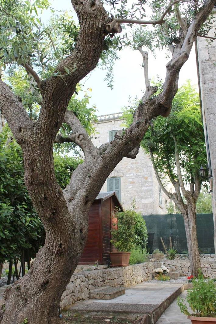 Location de vacances pour 2 personnes, avec piscine et jardin à Selva di Fasano - 4