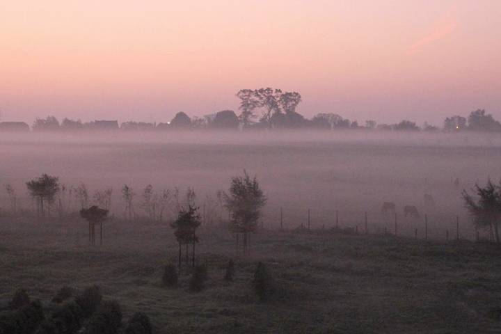 Chambre d’hôte pour 4 personnes à Hasselt - 2
