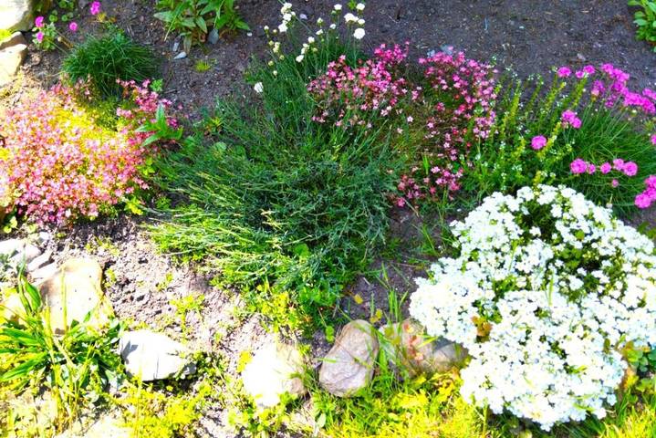 Maison d’hôte pour 8 personnes, avec jardin en République Tchèque - 3