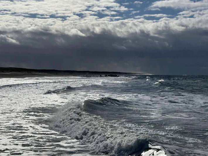 Ferienhaus für 12 Personen, mit Pool und Sauna sowie Terrasse und Whirlpool, mit Haustier an der Westküste Dänemarks - 3