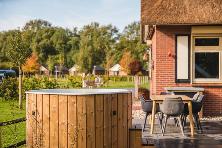 Ferienhaus für 6 Personen, mit Balkon/Terrasse und Terrasse sowie Sauna in den Niederlande - 4