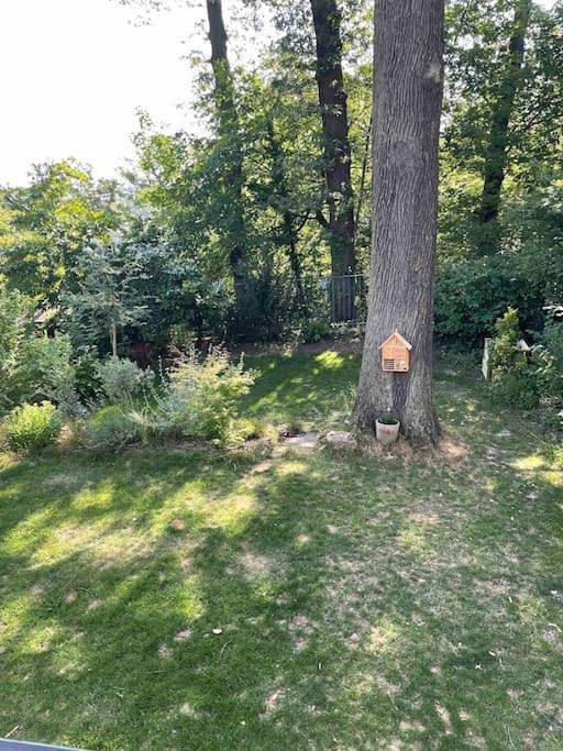 Appartement entier, Appart très cosy en rez de jardin in Le Plessis-Robinson, Hauts-de-Seine
