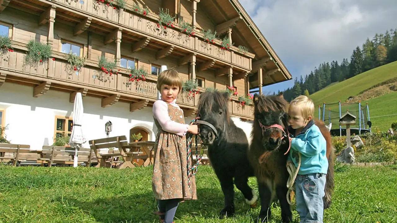 Ganze Ferienwohnung, Ferienwohnung für 4 Personen (56 m²) in Filzmoos in Filzmoos, Tennengau