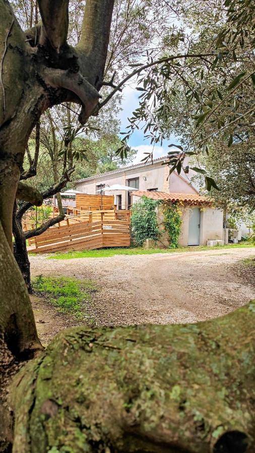 Gîte pour 5 personnes, avec jardin à Elne - 2