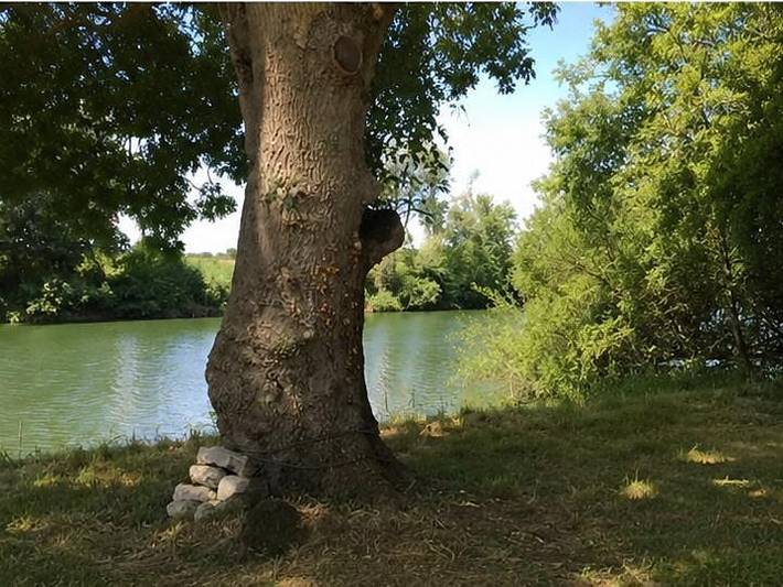 Gîte pour 4 personnes, avec Terrasse en Charente - 4
