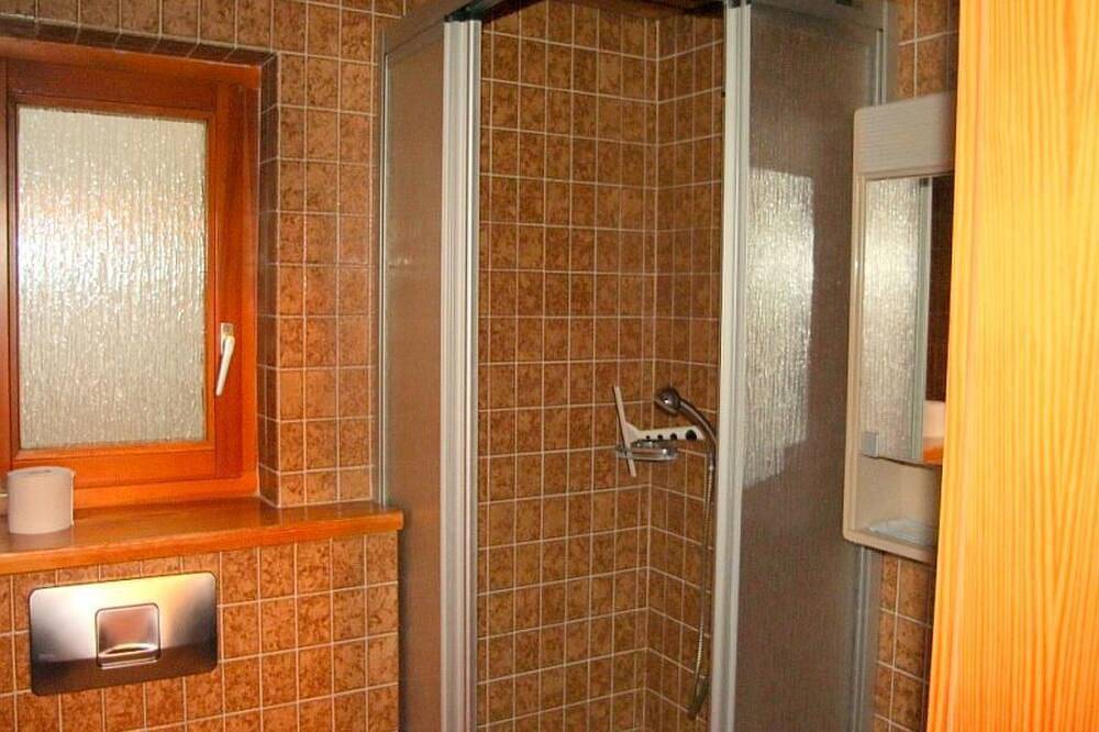Ganze Wohnung, Ferienwohnung in Falera, Flims Laax Falera