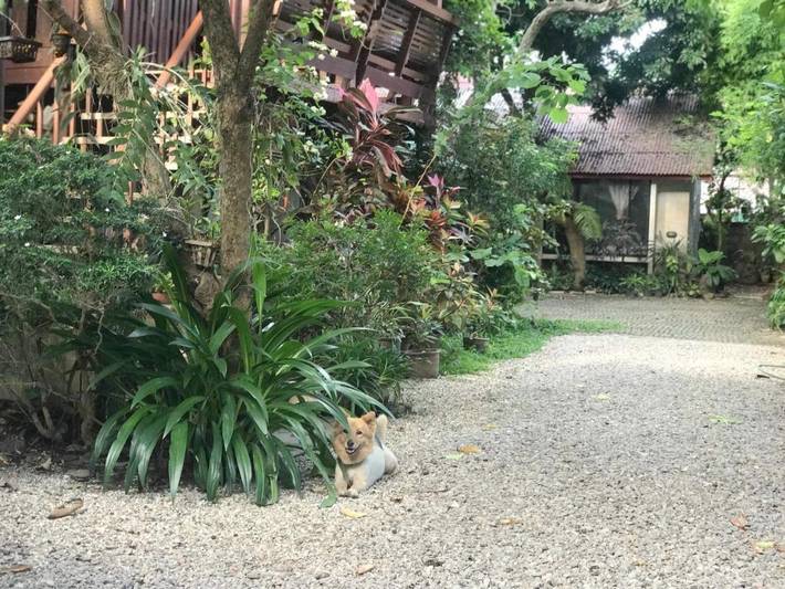 Maison d’hôte pour 2 personnes, avec jardin et vue à Chiang Mai
