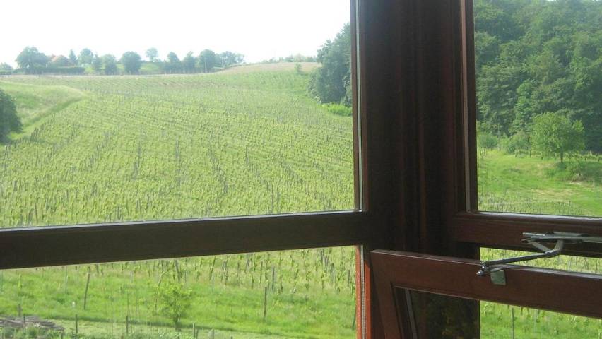 Gîte pour 3 personnes, avec jardin, animaux acceptés à Maribor - 4