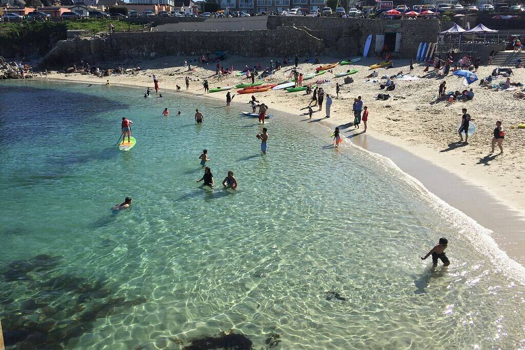 Entire apartment, Hipster Vibe - Pacific Grove Apartment - Walk to the Beach! in Pacific Grove, Monterey County