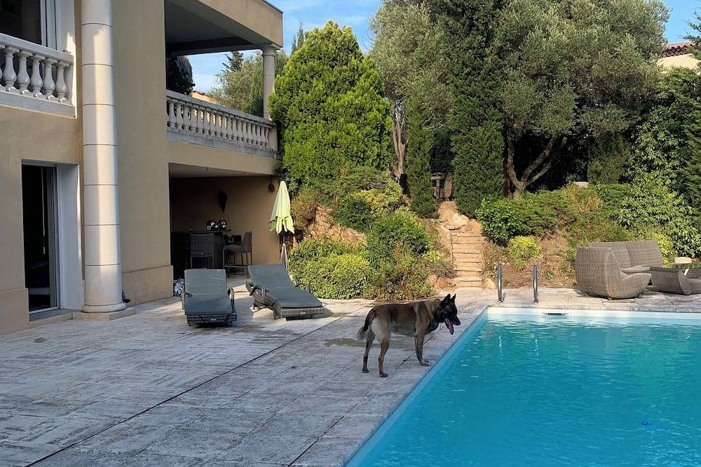 Loue chambre salle de douche et cuisine d été  dans un écrin de verdure  piscine in La Seyne-sur-Mer, Côte méditerranéenne (France)