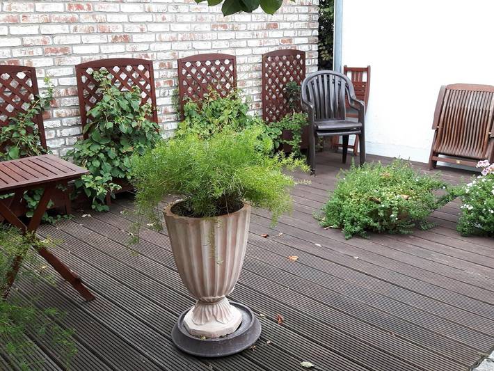 Ferienwohnung für 5 Personen, mit Terrasse in Mölln - 3