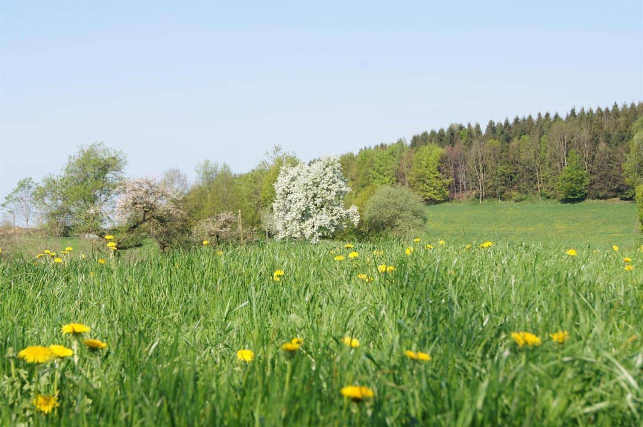 Ganze Wohnung, Ferienwohnung im Obstgarten in Achberg, Region Bodensee-Oberschwaben