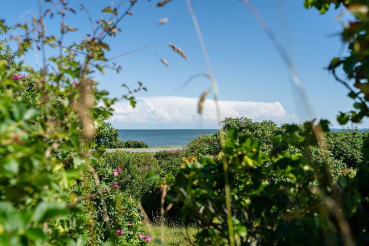 Ferienwohnung für 6 Personen, mit Ausblick und Garten, mit Haustier in List (Sylt) - 3