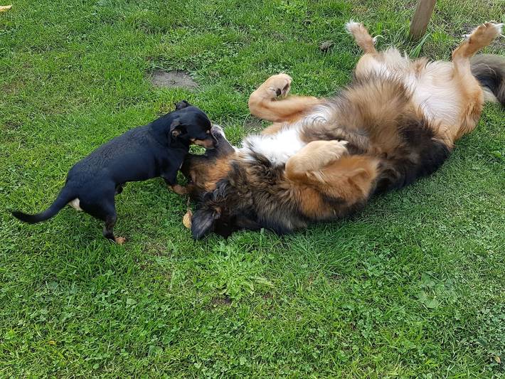 Ferienwohnung für 5 Personen, kinderfreundlich in Steinberg - 3