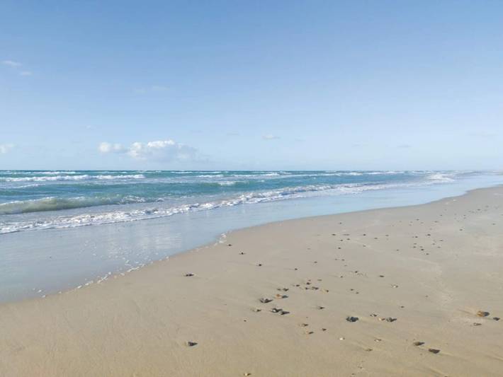 Ferienhaus für 6 Personen, mit Pool, kinderfreundlich in Tranum Strand - 4