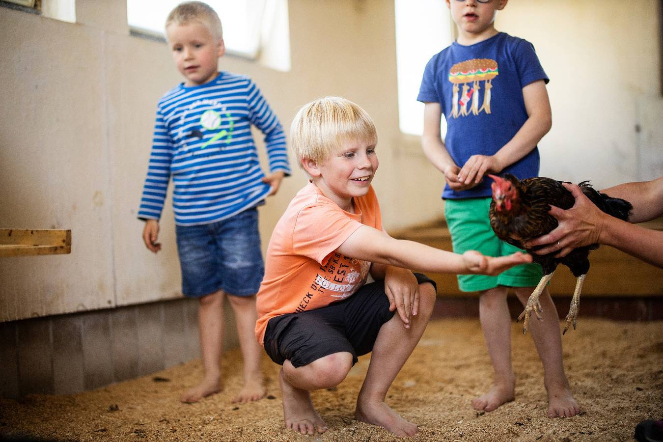 Ferienwohnungen Schellen Hof - 2 Laubrascheln, 67qm, 2 Schlafzimmer, max. 4 Personen in Sundern, Hochsauerlandkreis