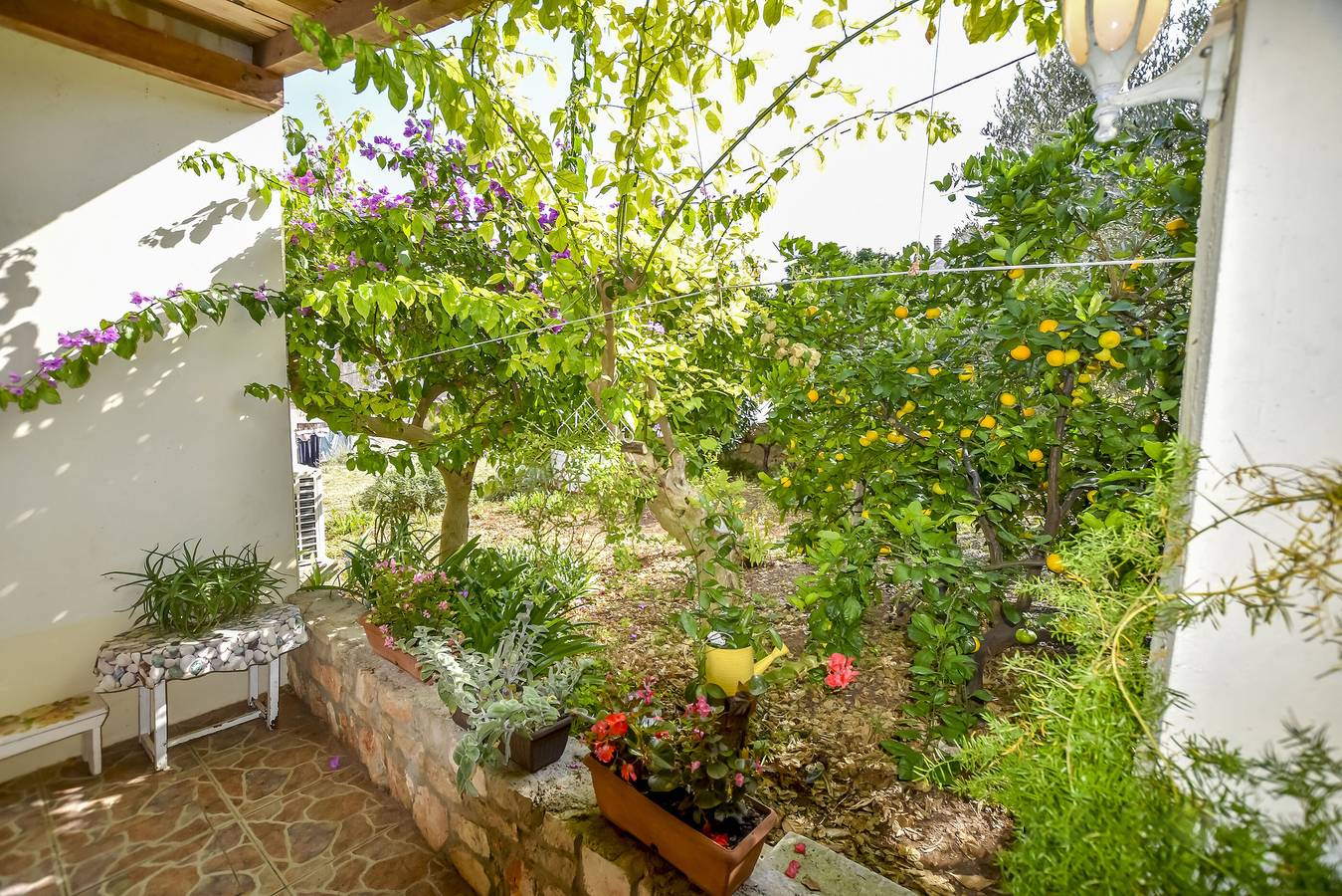 House Panula in Zadar (Kommun), Iz