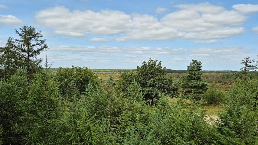 Ferienhaus für 5 Personen, mit Terrasse in Dänemark - 2