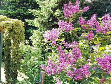 Ferienwohnung für 4 Personen in Mellenthin, Usedom, Bild 4